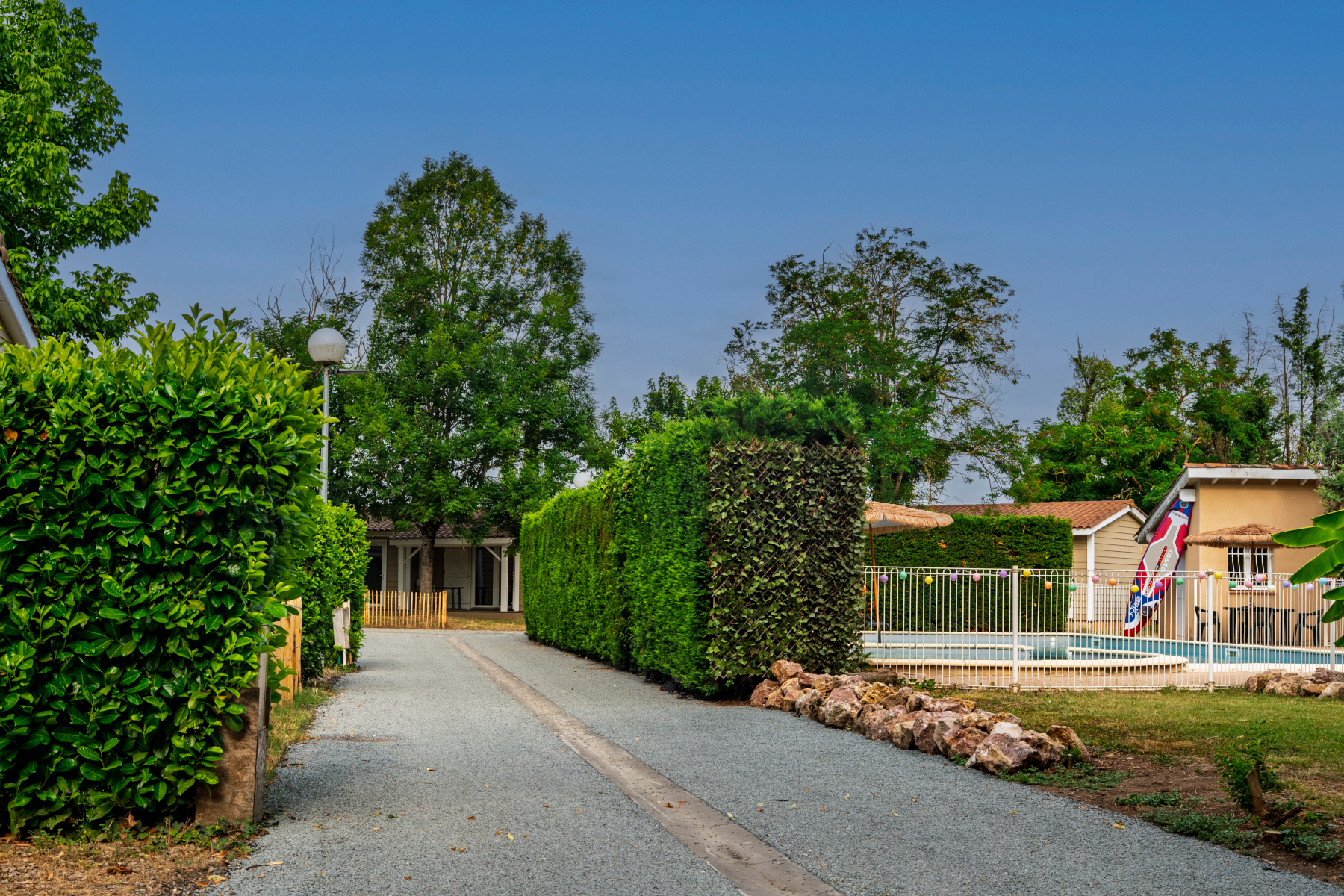 Allée paysagère et piscine du Domaine du Cèdre